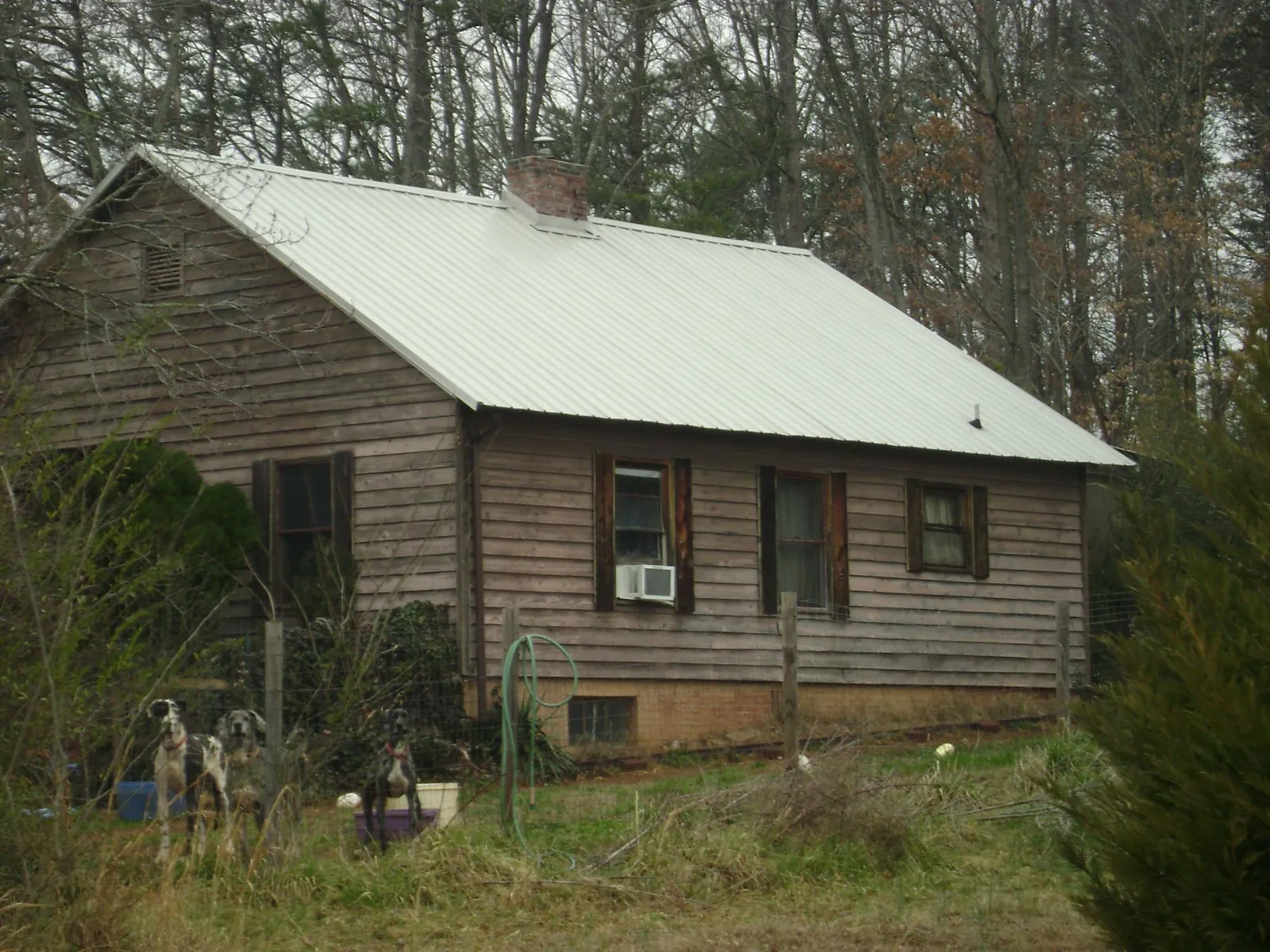 White metal roof on an old wood sided farmhouse, from a Metal Roof Installation job in Bells